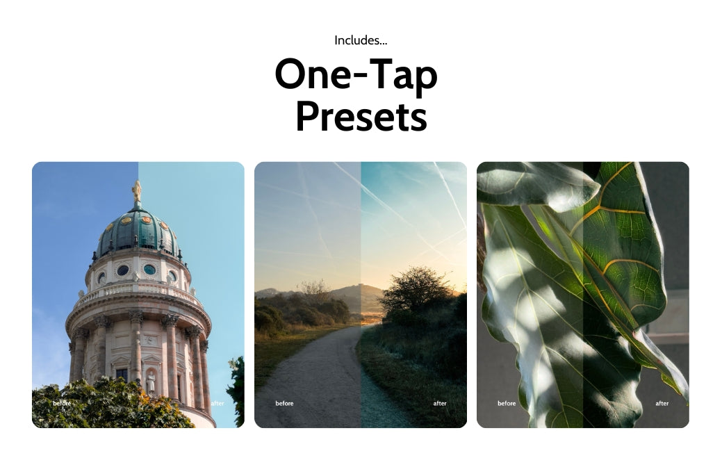 Elevate Your Ecosystem Bundle